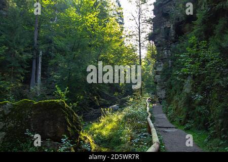 Pfad in der Edmund-Schlucht, Nationalpark Böhmische Schweiz, Tschechische Republik. Märchenland.mythisch schöne Naturlandschaft des Elbsandsteins Stockfoto