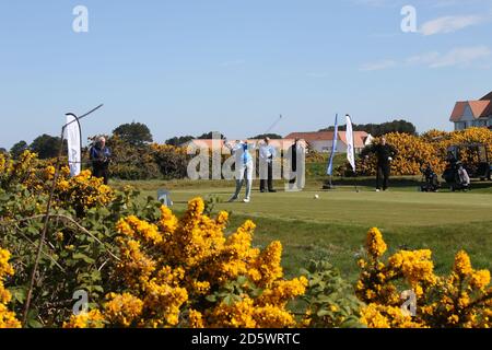 Trump Turnberry Golf Course, Ayrshire, Scotland, UK das erste Abschlag ein Vierball verlässt das Abschlag mit Ailsa Craig im Hintergrund und gelben Ginsterbüschen Stockfoto
