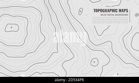 Stilisierte Höhe der topografischen Kontur in Linien. Konzept eines Bedingungsgeographisches Scheme und Geländepfad. Vektorgrafik. Abstrakte Vektorgrafik in Grautönen. Stock Vektor