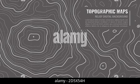 Topografische Kartenkonturhintergrund. Topo-Karte mit Höhenlage. Vektor Der Konturkarte. Geographische Welt Topographie Kartengitter abstrakte Vektordarstellung in Grautönen. Stock Vektor