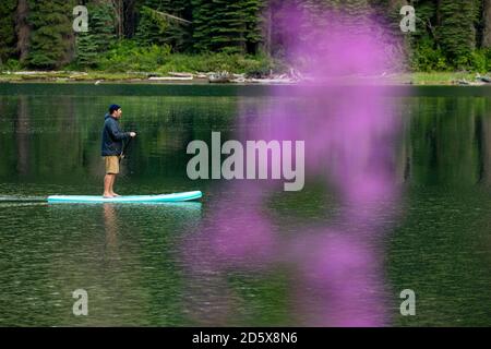 Mann rudert auf dem Paddelbrett auf dem See Stockfoto