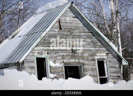 Alte Hütte auf dem Land Stockfoto