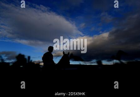 Ein Pferd macht seinen Weg aus dem Kurs während Tag 2 des Showcase auf der Cheltenham Racecourse Stockfoto