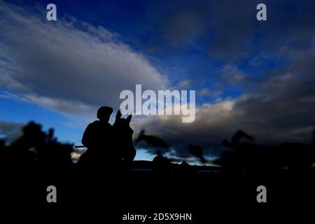 Ein Pferd macht seinen Weg aus dem Kurs während Tag 2 des Showcase auf der Cheltenham Racecourse Stockfoto