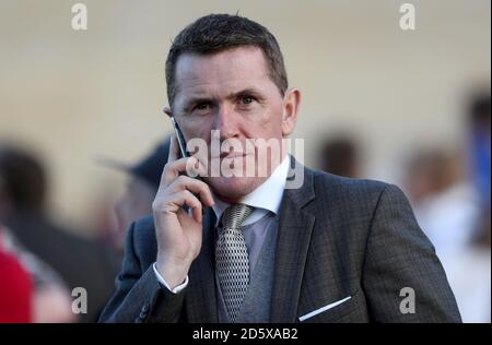 Tony McCoy OBE während des ersten Tages des Showcase bei Cheltenham Rennbahn Stockfoto