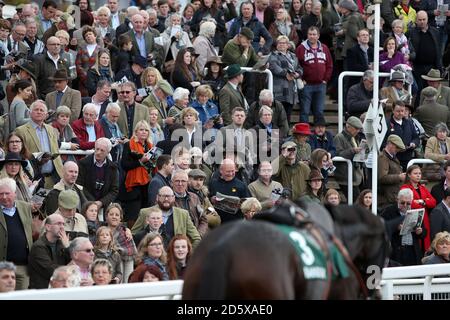 Racegoers beobachten Pferde in der Pre-Parade Ring vor dem randoxhealth.com Handicap Chase am zweiten Tag des Showcase in Cheltenham Rennbahn Stockfoto