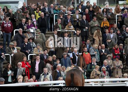 Racegoers beobachten Pferde in der Pre-Parade Ring vor dem randoxhealth.com Handicap Chase am zweiten Tag des Showcase in Cheltenham Rennbahn Stockfoto