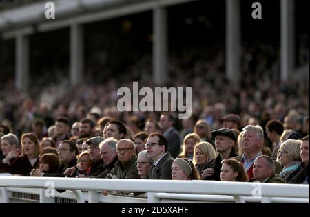 Racegoers in den Ständen während des zweiten Tages des Showcase Auf der Pferderennbahn Cheltenham Stockfoto