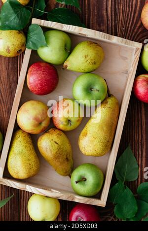 Äpfel und Birnen in einem Tablett auf einem hölzernen Hintergrund Stockfoto