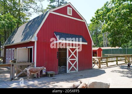 CAPE MAY COUNTY, NJ-21 JUL 2020- Blick auf den Cape May County Park & Zoo, einen zoologischen Park in Cape May County, New Jersey, auf dem Jersey Shor Stockfoto