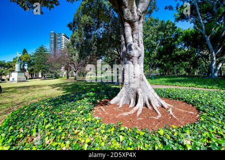 Sydney Hyde Park an einem schönen sonnigen Tag, Australien. Stockfoto