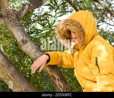 Weißer Junge trägt einen gelben Mantel mit einer Kapuze mit Haaren am Ende, die sein Gesicht versteckt. Das Kind hat einen Baum bestiegen und er ist zwischen Ästen und grün Stockfoto