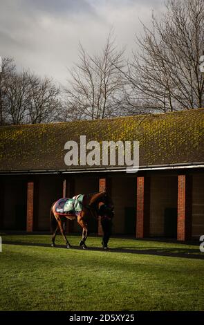 Eine allgemeine Ansicht der Pferde in der Pre-Parade Ring während Tag zwei des Internationalen Treffens auf der Cheltenham Rennbahn Stockfoto