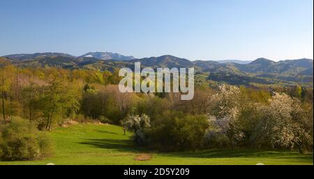 Deutschland, Baden-Württemberg, in der Nähe von Freiburg, Breisgau, Schwarzwald, Blick vom Schönberg zum Belchen Stockfoto