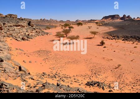 Algerien, Sahara, Tassili N'Ajjer Nationalpark, Tadrart Region, Rocky Valley Stockfoto