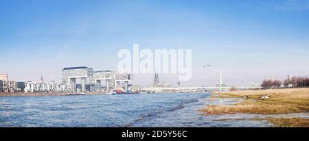 Deutschland, Nordrhein-Westfalen, Köln, Rhein und Kranichhäuser, Kölner Dom im Hintergrund Stockfoto