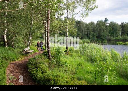 Deutschland, Baden-Württemberg, Bad Wurzach, Riedsee Stockfoto