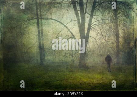 Deutschland, Wuppertal, Mann bei Nebel und Nieselregen im Park Stockfoto