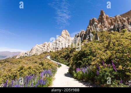 Neuseeland, Südinsel, Omarama, Clay Cliff Stockfoto