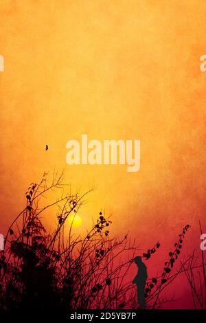 Silhouette eines Mannes stand vor Morgenhimmel bei Sonnenaufgang Stockfoto
