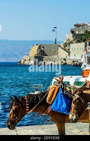Griechenland, Hydra, Pferd und Maultier am Hafen Stockfoto