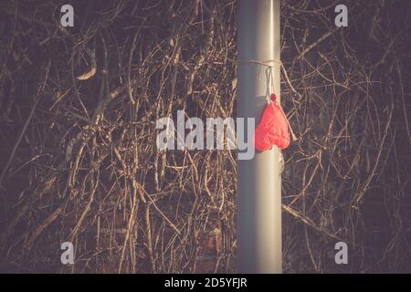 Herzförmigen Luftballon hängen an einem Mast Stockfoto