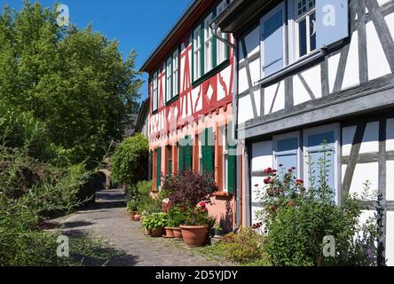 Deutschland, Hessen, Frankfurt-Hoechst, Altstadt, Fachwerkhäusern am Burggraben Stockfoto