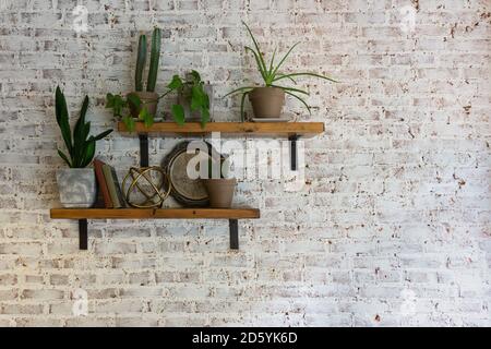 Moderne stilvolle weiße Ziegelwand mit Regalen und Pflanzen auf ihnen. Stockfoto