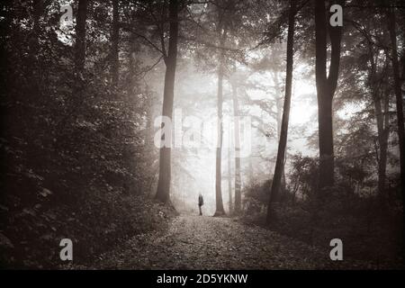 Mann zu Fuß auf Waldweg im Morgennebel Stockfoto