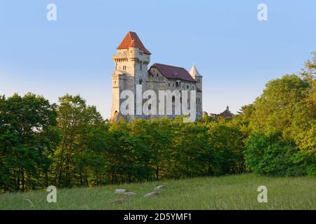 Österreich, Niederösterreich, Maria Enzersdorf, Burg Liechtenstein Stockfoto