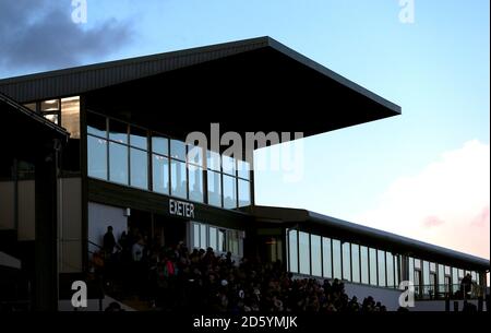 Ein allgemeiner Blick auf die Tribüne während des Super Sunday at Exeter Racecourse Stockfoto