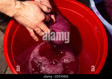 Die Trauben mit den Händen durch die Käseschlinge über einen Eimer drücken. Weinbereitung zu Hause Nahaufnahme Bild von Rotwein Maische in den Händen eines Weinherstellens Stockfoto