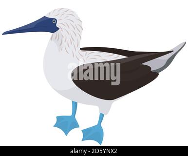 Blaufüßige Booby-Seitenansicht. Tropischer Vogel im Cartoon-Stil. Stock Vektor