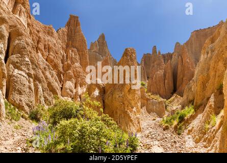 Neuseeland, Südinsel, Omarama, Clay Cliff Stockfoto