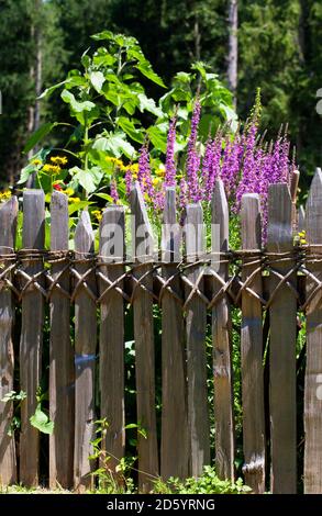 Österreich, Salzburger Land, Freilichtmuseum Grossgmain, Holzzaun der Cottage-Garten Stockfoto