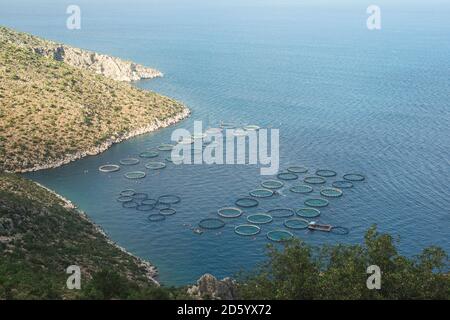 Griechenland, Peloponnes, Blick zur Fischzucht von oben Stockfoto