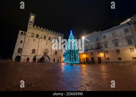Italien, Umbrien, Provinz Perugia, Gubbio, Piazza Signoria, Palazzo dei Consoli und ein Weihnachtsbaum bei Nacht Stockfoto