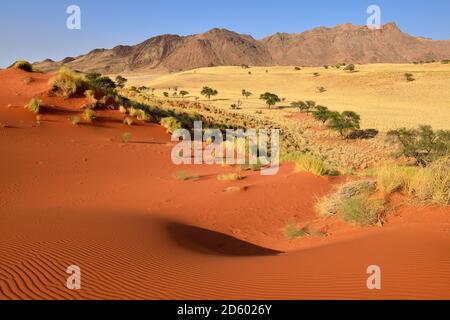 Afrika, Namibia, NamibRand Nature Reserve, rote Sanddünen und Gorasis Mountain Stockfoto