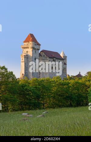 Österreich, Niederösterreich, Maria Enzersdorf, Burg Liechtenstein Stockfoto