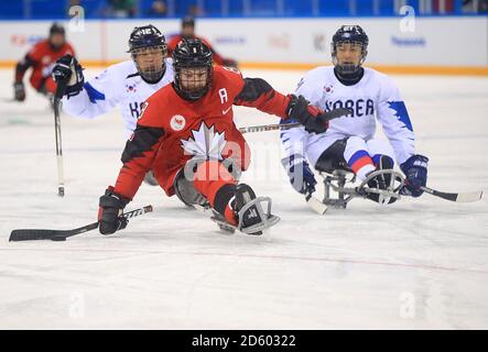 Kanadas Tyler McGregor im Gangneung Hockey Center tagsüber Sechs der Winter-Paralympics 2018 in PyeongChang in Südkorea Stockfoto