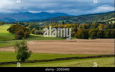 Perthshire, Schottland, Großbritannien, 14. Oktober 2020. UK Wetter: Herbstfarben. Die Bäume in Perthshire zeigen atemberaubende Gold- und Orangenfarben an einem Tag, der zwischen Regen- und Sonnentage wechselte. Im Bild: Ochretide Tal über dem Monzie Anwesen Stockfoto