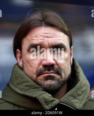 Norwich City Manager Daniel Farke Stockfoto