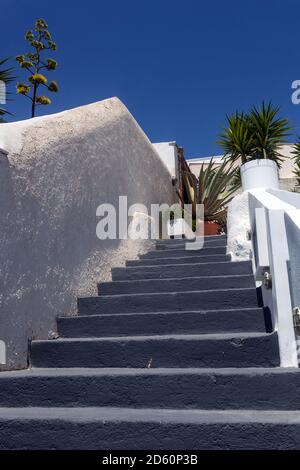 Santorini Straße und Agavenblume Pflanze hinter weiß getünchten Wänden Santorini Oia Griechenland Treppe Stockfoto