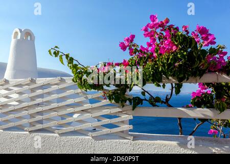 Bougainvillea Griechenland Terrassendetail und Lüftungsschornstein über dem Meer griechische Insel Santorini Oia griechische Inseln Bougainvillaea Blumen Stockfoto