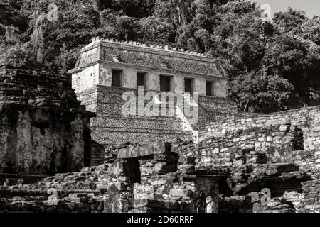 Maya Tempel der Inschriften in schwarz und weiß, Palenque, Chiapas Regenwald, Mexiko. Stockfoto