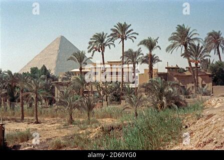 Palmen vor der Pyramide von Khufu (Cheops), Gizeh, Kairo, September 1984, Ägypten Stockfoto