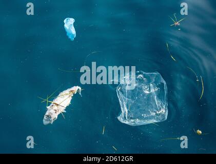 Toter Fisch, Gummihandschuh und Plastiktüte im Meer, Meer, Plastikverschmutzung. Stockfoto