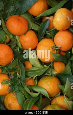 Draufsicht., viele Zitrusfrüchte. Eine Kiste von frischen Mandarinen mit Blättern an einem Stand auf dem Straßenmarkt von Bari, (Italien) Obst Hintergrund mit einem s Stockfoto