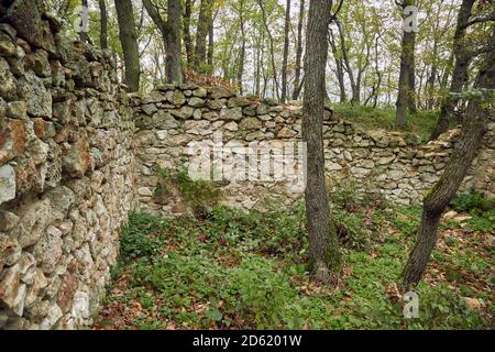 Alte Steinmauer in einem Wald Stockfoto