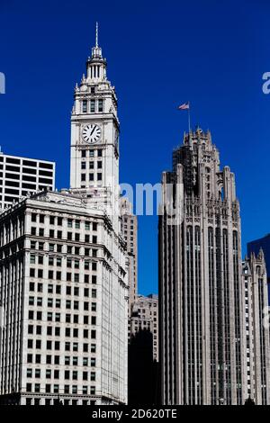 Das Wrigley Gebäude, (links) und das Tribune Gebäude, (rechts), Chicago Stockfoto